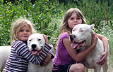 Girls with Dogo dogs.